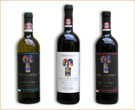 Lucca wine