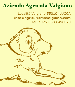 Agriturismo Lucca